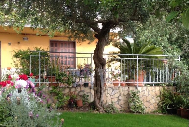 פראייה א מארה B&B Dei Fiori מראה חיצוני תמונה